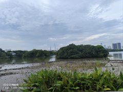 -海珠湖公园