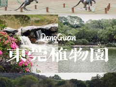 -东莞植物园