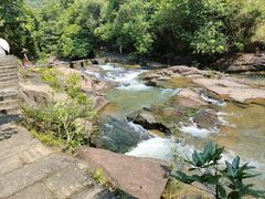 -广州白江湖森林公园