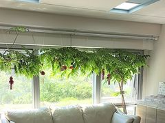 -精德口腔·种植修复·儿牙中心(财富中心店)