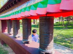 -武清南湖绿博园