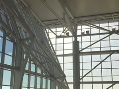 -约翰·菲茨杰拉德·肯尼迪国际机场