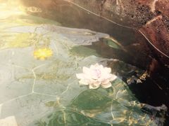-苏州湾王焰温泉度假酒店