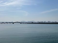 -五缘湾湿地公园