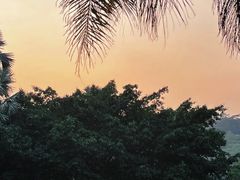 -深圳仙湖植物园