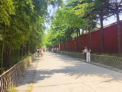 -洛阳白马寺