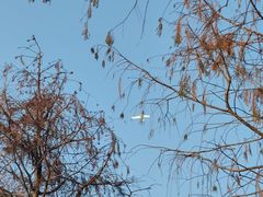 -重庆彩云湖湿地公园