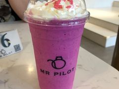 -飞行喵MR PILOT|猫舍·猫咖(静安大融城店)