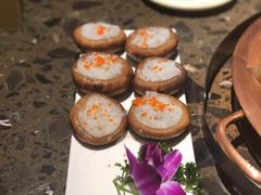 -重庆地瓜老火锅(广渠门店)