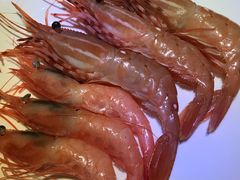 -北上海大酒店-北鸥西餐厅