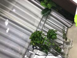 -荟草堂专业痘肌皮肤管理