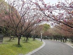 -苏州河梦清园环保主题公园