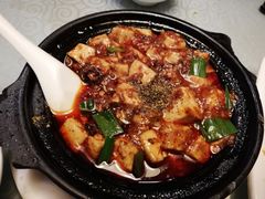 -陈麻婆豆腐总店