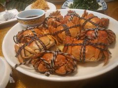 -呼吸森林·生态农庄农家乐私房菜