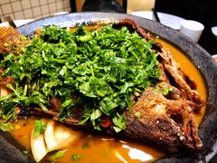 -不炭白烧烤(成都首店)