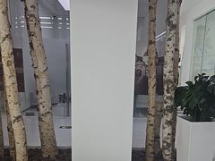 -极简口腔(总院)