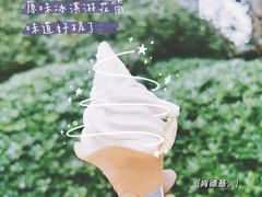 原味冰淇淋花筒-肯德基(金雀山店)