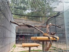 -深圳野生动物园