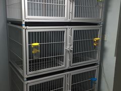 -汪星球宠物生活馆