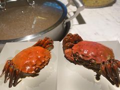 -汤城·料青山
