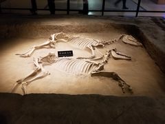 -洛阳周王城天子驾六博物馆