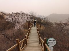 -大岭沟猕猴桃谷风景区