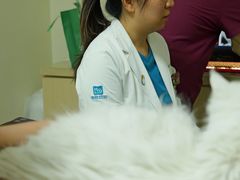 -美联众合动物医院·24h转诊中心