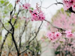 -静安雕塑公园
