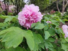 -江南大学(蠡湖校区)