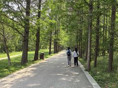 -同里国家湿地公园