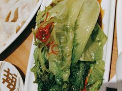 罗马生菜-船歌·鱼水饺青岛菜(国贸商城店)