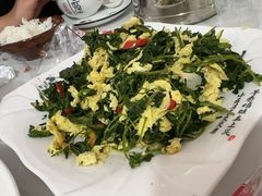 -煲来饱去冷水鱼