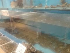 大堂-六顺园清真回族饭店(工程街店)
