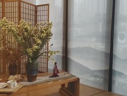-宥莉·ULLY 痘敏肌•科技皮肤管理中心