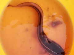 -白沙门生态公园