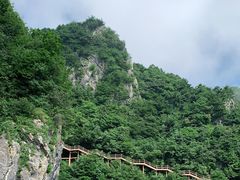 -秦岭天竺山景区