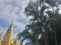 -西双版纳勐泐文化旅游区