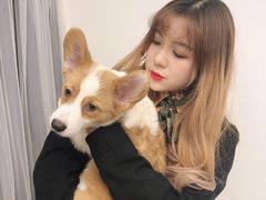 -浣熊柯尔鸭土拨鼠·电玩咖