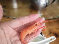 -百里鲜(羚羊峡古栈道森林公园店)