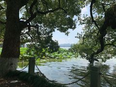 -西湖游船