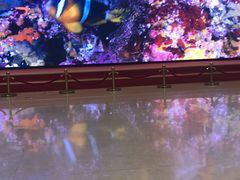 -贝林大翅鲸简餐厅(国家海洋博物馆店)