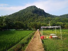 -八卦田遗址公园