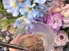 -奶油日报Journal de creme