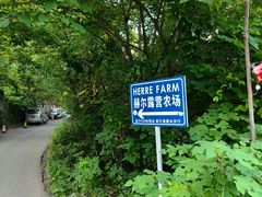 -HERRE·FARM 赫尔露营农场·团建聚会包场