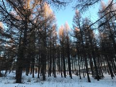 -塞罕坝国家级自然保护区