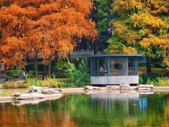 -四海公园(南山区)