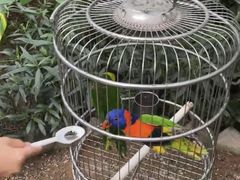 -南宫五洲植物乐园