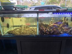 -金海湾海鲜排档(朱家尖店)