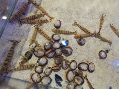 -十六蒲(桂林路店)