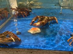 -江杨农产品批发市场